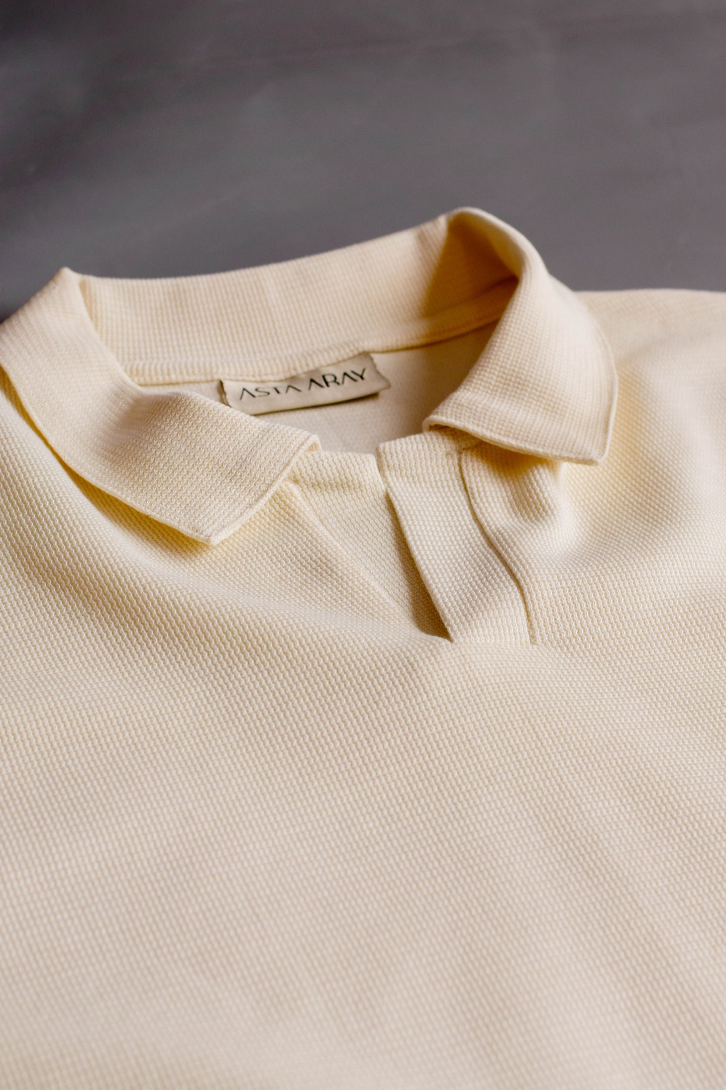 Slim Fit Textured Polo Shirt