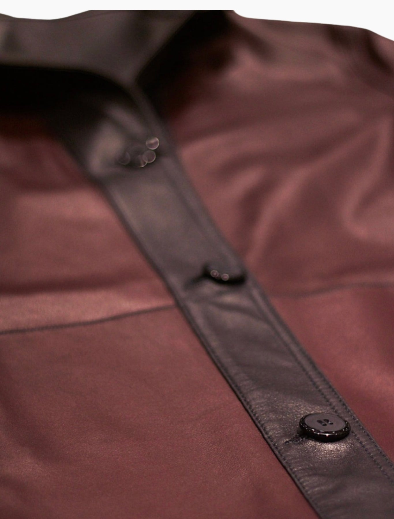 Double Faced Blue & Burgundy Leather Jacket