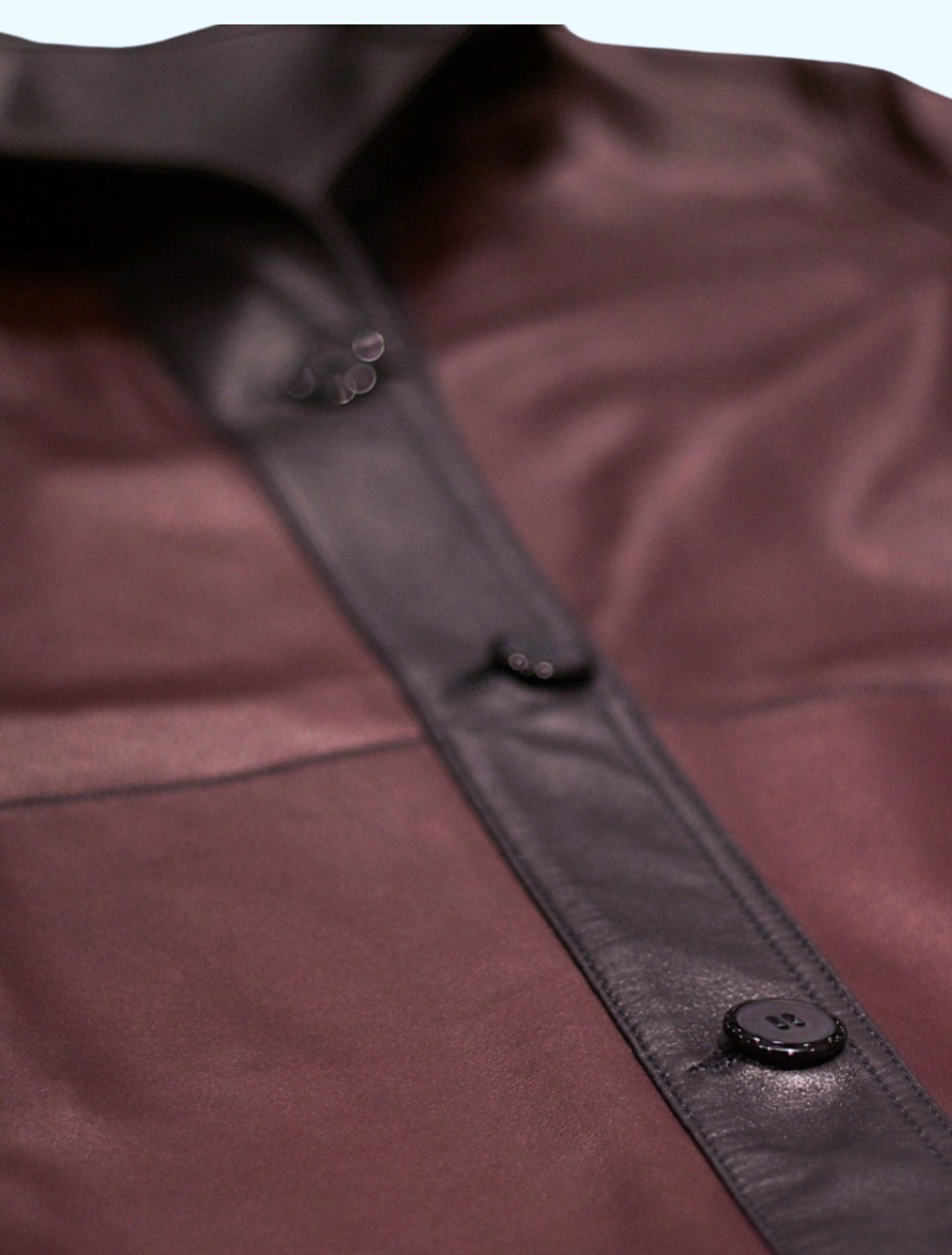 Double Faced Blue & Burgundy Leather Jacket