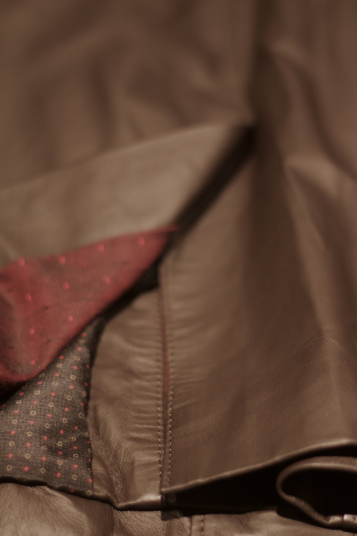 Leather Coat